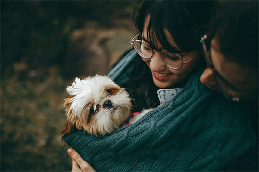 Carrapatos em cães: como proteger seu pet desses parasitas perigosos